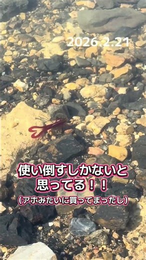 トルピード！改！ #釣り #陸釣り #バス釣り #アウトドア #ヘビキャロ #トルピード