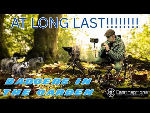 CAMERA TRAPPING FOR BADGERS - CAMTRAPTIONS GEAR - ELUSIVE BROCK