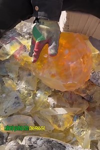 Wonderful gifts from nature | Free life