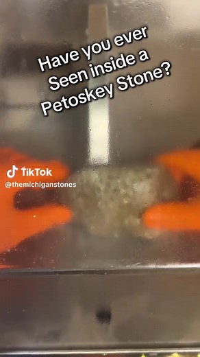 Discovering the Beauty of Michigan's Petoskey Stone