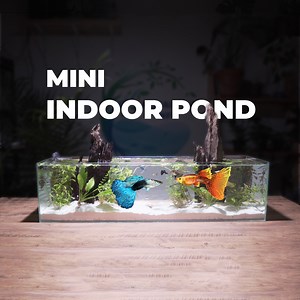 1.4M views · 9.5K reactions | Making a MINI INDOOR POND guppy tank | Aquarium Info | Facebook