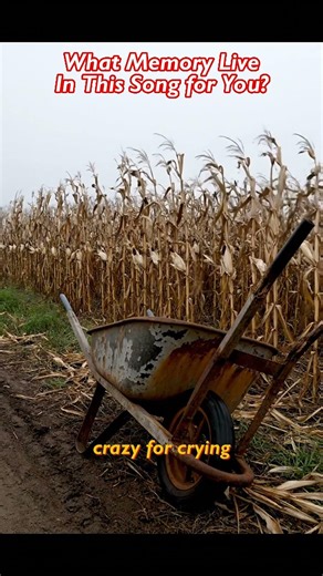 Tribute to Country Legend - Crazy by Patsy Cline - Country Love Song Classic