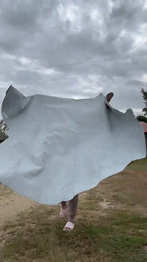 ✨🤠 Say “I do” the western way! This custom cowhide backdrop is giving all the rustic romance vibes. Perfect for photos, vows, and unforgettable memories under the stars. 🌾💍 Would y’all say yes to a western wedding backdrop like this? 👇🤠 #weddingideas #weddinginspo #bridetok #westernwedding #rusticwedding #instawedding #weddingplanning #reels | Lethal Creek Laser Works LLC