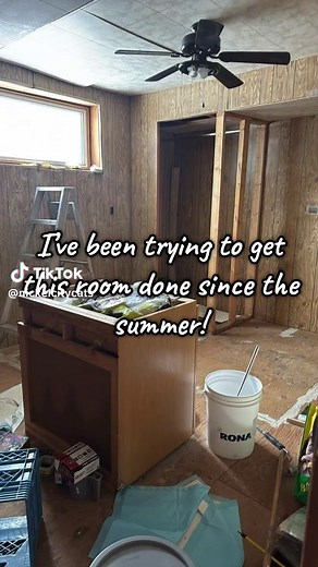 Nickel City Cats on TikTok