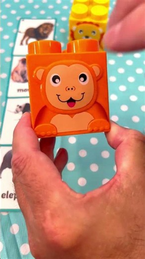 Lining Up Animal Picture Blocks with Matching Flashcards! 🧩 Vocabulary Toy Game