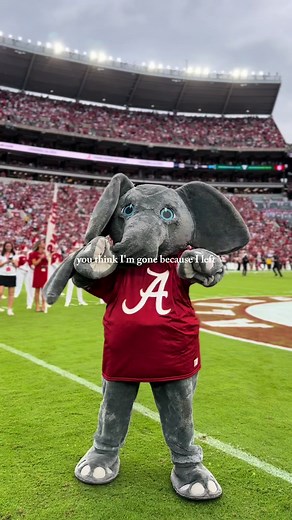 Celebrate National Mascot Day with Big Al!