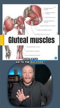 Your gluteus maximus 🍑 is the largest muscle in your body