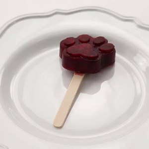 Beat the summer heat with these pawpsicles inspired by Zootopia's favorite sly fox: http://di.sn/6182BsOag | Disney Family