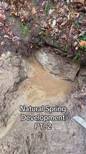 Natural Spring Development Pt. 2