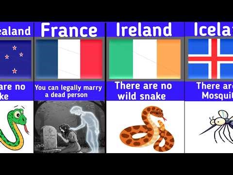 🌍 Unbelievable Myths About Every Country That Are Actually TRUE!