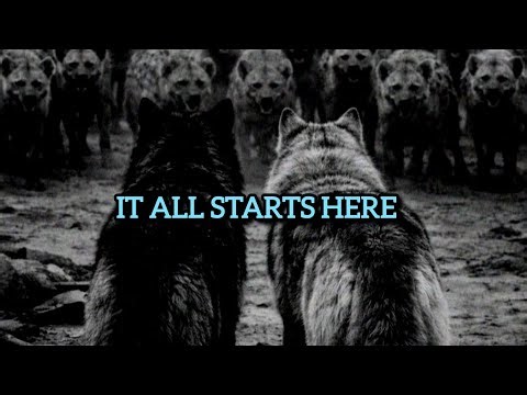 Your Thoughts Create Your Reality – Lessons on Focus & Success