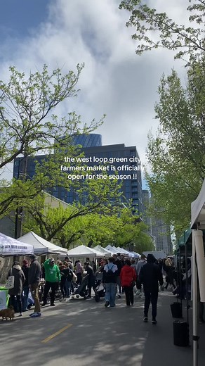 Green City Farmers Market Opens in Chicago's West Loop