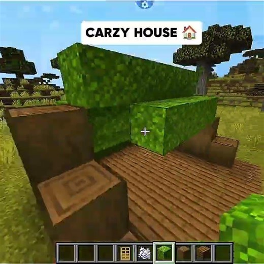 Minecraft Carzy House..🏠 #shorts #minecraft