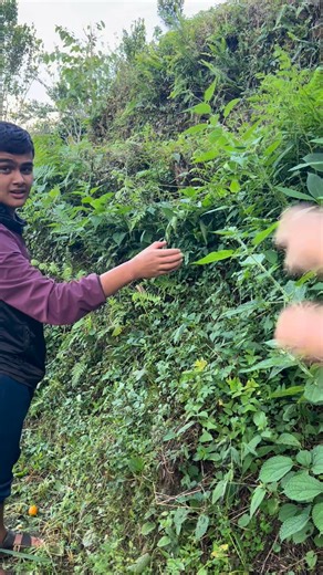 75K views · 1.5K reactions | Bhanja li prank | Santosh Basnet | Facebook