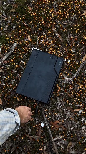 I took my scanner to the bush! My mate Jorge from Canon was able to wrangle me up a scanner on ‘loan’. Hopefully he doesn’t want it back because I had to make a few modifications to get this working out in the field (thanks Jorge!). Jokes aside though, this was reaaallllllyyyyy fun, I was obsessed and scanned until my computer ran out of battery, I can’t wait to do this again! I also made some Polaroid transfers while I was camping, so keep an eye out for that soon. #scanography #scannerart #art