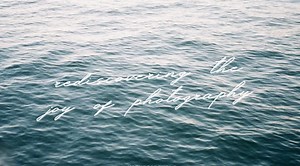 Rediscovering the Joy of Photography: A Personal Reflections