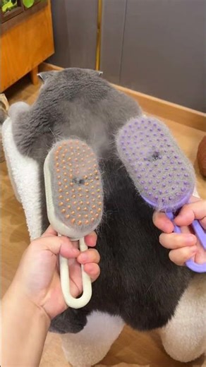 The trick to removing ALL pet hair in minutes 🤯