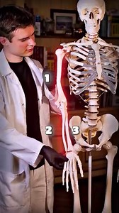 À savoir ! (anatomie humaine)