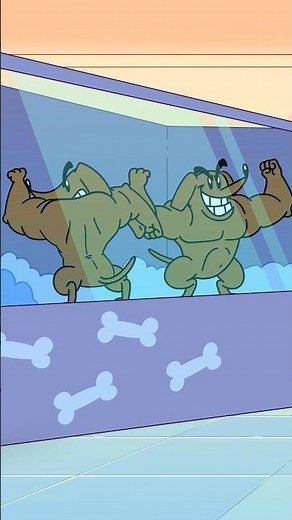Cats VS Dogs (Write in the Comments) DANS & SNAD 24: Finding SNAD a Pet