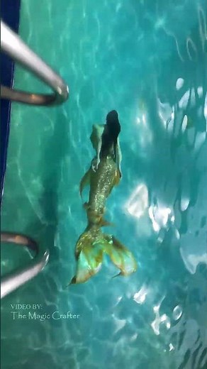 POV: You find a mermaid in the pool