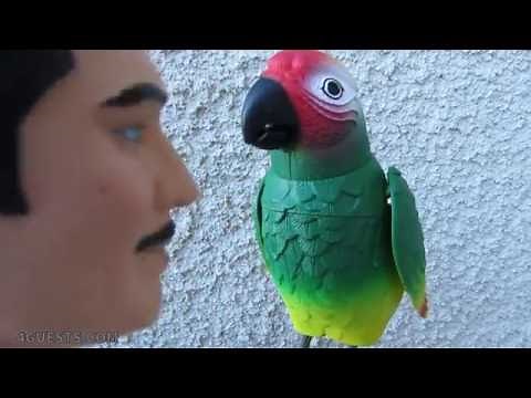 Talking toy Parrot