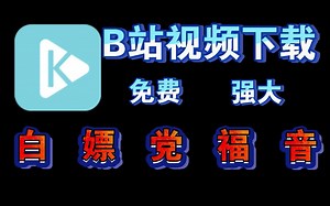 这或许是最实用的B站视频下载工具？一键快速下载 - 视频下载 Video Downloader