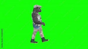 4k 3d animation of a gorilla dressed in clothes with cap, glasses, walking, running and talking.