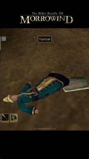 Learning to fly | The Elder Scrolls III: Morrowind