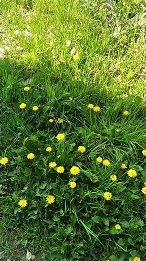 11 апреля 2026 г.