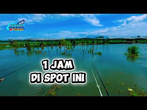Asem Druju Pagak Reservoir‼️ Karangkates Reservoir, Malang, East Java, Indonesia