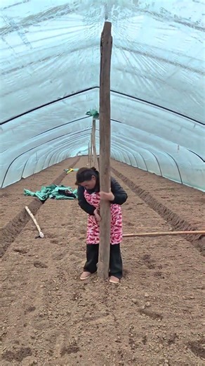 Protect Your Greenhouse From Winter Deformation – Install Temporary Support Posts