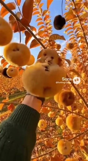 Funny AI compilation Remix 5