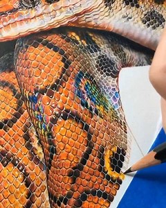 893K views · 1.9K shares |  SNEK ENERGY Artist: SARAH JAMISON Instagram: @sarahjanejamison | Urban Street Art | Facebook