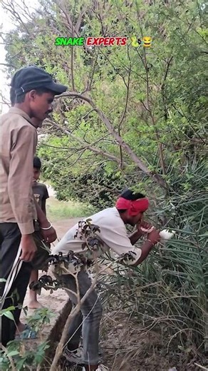 snake experts 🐍😂#funny #funnyvideo #funnyfails #memes #comedy #fun #reportercomedy #new