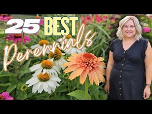 25 Best Long-Blooming Perennials: Plant Once, Returns Every Year!