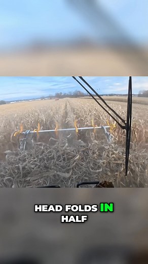 Ever wondered what that spinning thing on a combine is for? It's a corn reel, and it's a game-changer when harvesting corn that's been knocked down. Navigating the controls can be a bit frustrating, though! #CornHarvest #CombineHarvester #FarmingTech #Agricultural #Harvesting | Brian's Farming Videos