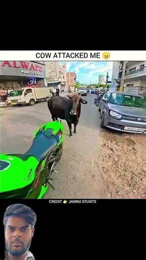 OMG! Cow Attack During Ride 🤯 | Viral Motovlog