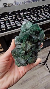 4.1K views · 297 reactions | NIGHT TIME DAY TIME 藍 | Saltshack | Facebook