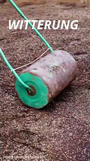 toom | 5 tips for your sod #shorts #toom #lawncare #diy #gardening