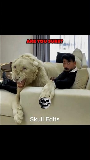 The Most Insane Pets You'll Ever See⚡🐾