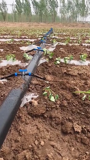 780K views · 5.5K reactions | agricultural drip irrigation tape | agricultural irrigation We are a PVC hose & rubber hose manufacturer in China and a global one-stop hose and couplings supplier Contact us, surprise you: https://wa.me/8618131105602 sales20@orientrubber.com #reelsfb #reels #irrigation #irrigationsystem #IrrigationSolutions | Orientflex Rubber And PVC Hose | Facebook