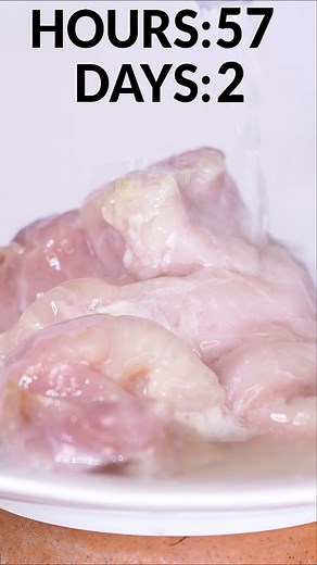 82K views · 254 reactions | Rotting Meat under running water練Timelapse #satisfying #decay #timelapse | Time Treats | Facebook