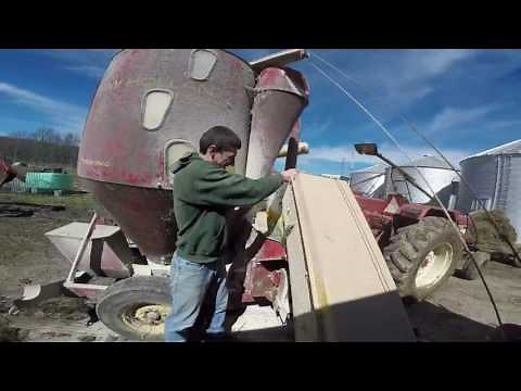 Grinding Feed for the Cattle