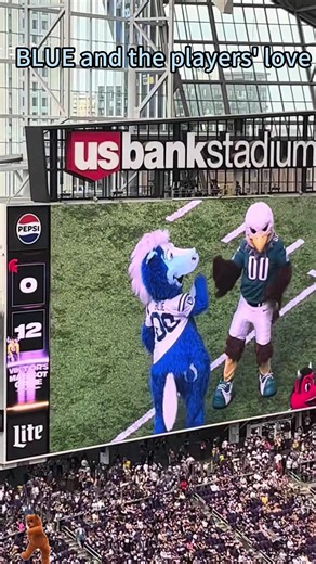 The Heartfelt Spirit of Blue in Sports