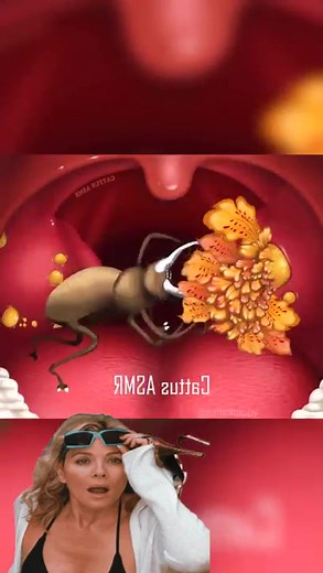 6.1K views · 24 reactions | DIY ASMR Makeup Animation #animation #animationvideo #asmrmakeup #asmrvideo #asmranimation #cleaningtip #makeover | ASMR Makeup | Facebook