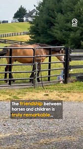 Mother captures beautiful moment between 5 year old daughter and horse | Pet World