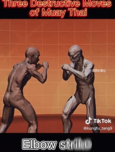 Destructive moves of Muay Thai#combat #muaythai #fightingtecnique #selfdefense #fightingskills #fypシ #foryou