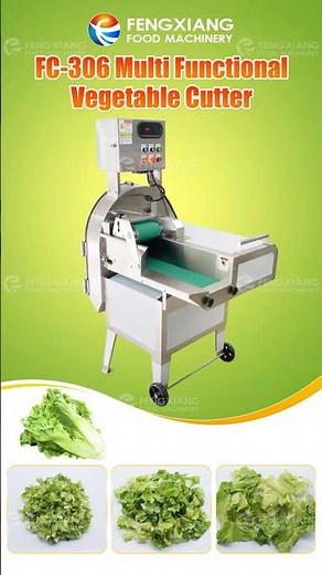 FC 306 Lettcue Cutting Machine, Vegetable Slicing Machine， Multi-Function Vegetable Cutter