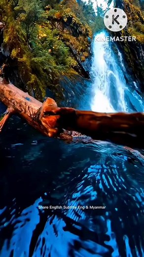 #motivation #part5 #foryou