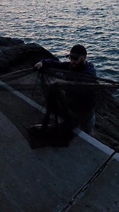 Bass on the lures this evening 🐟#theshorehunter #seafishing #fishing #seafishing #bass #lures #bassfishing #lurefishing #fish | The Shore Hunter